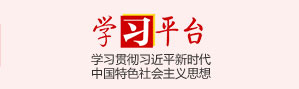 國(guó)內(nèi)外知名聚氨酯彈性體催化劑品牌性能對(duì)比與選型參考